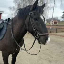 Emex – sommar / helår